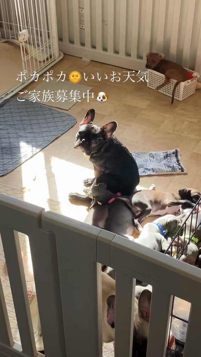 気持ち良さそう╰(*´︶`*)╯♡