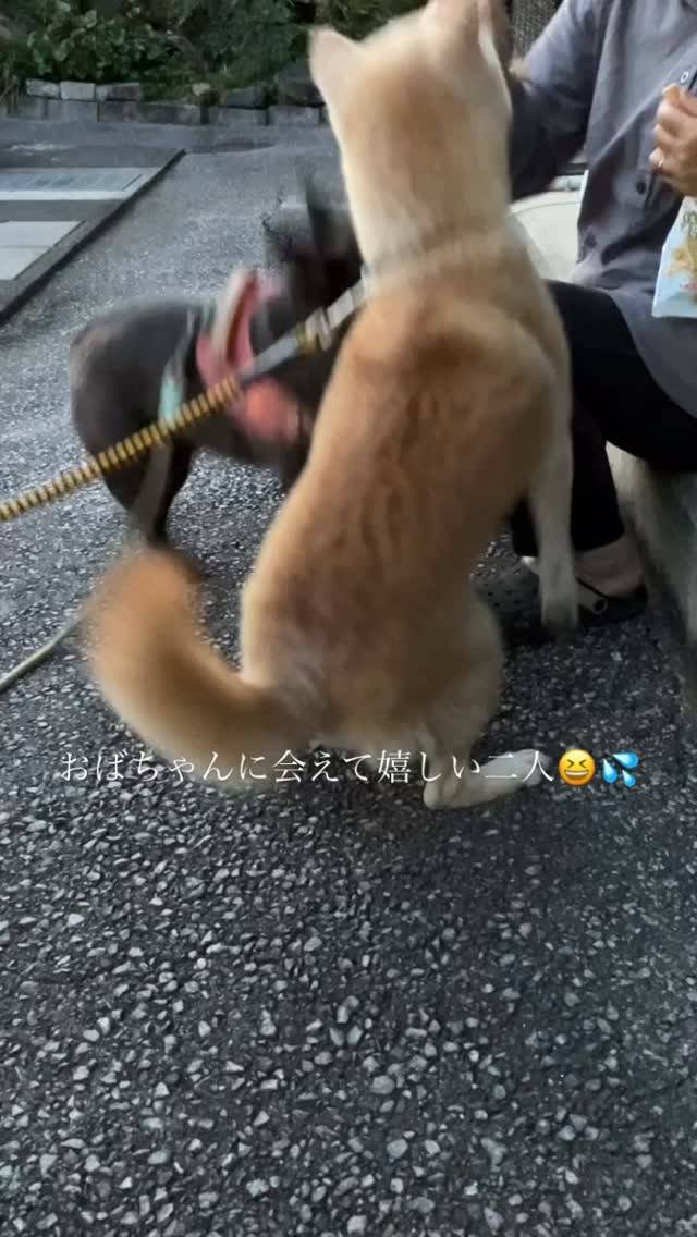 ジャイ子ちゃん＆キンタロウ君＆仲良しのももちゃんのママ👩