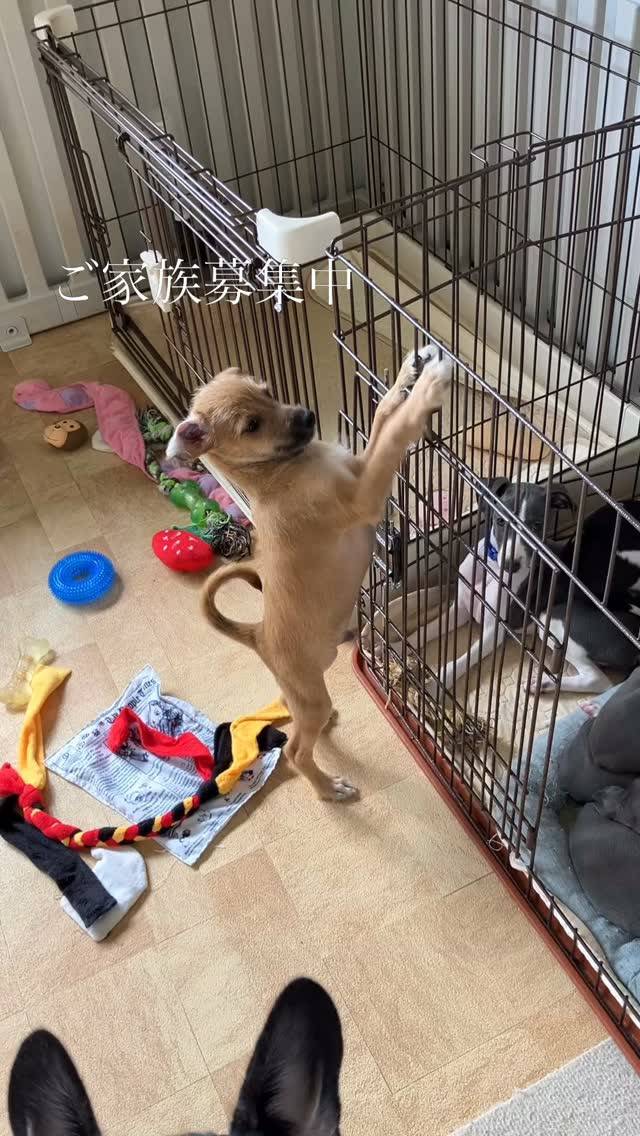 ご家族募集中です☆是非お問い合わせください☺️
